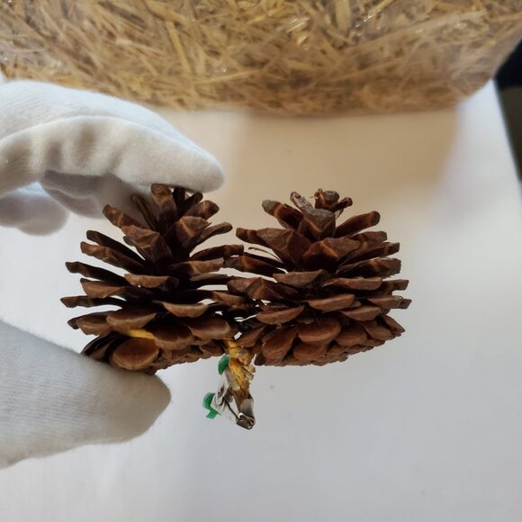 Natural Unscented Wooded Pinecone Clip Ornaments – Holiday Décor – Set of (2) - Picture 3 of 6
